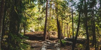 5 Best Hiking Trails in Raleigh
