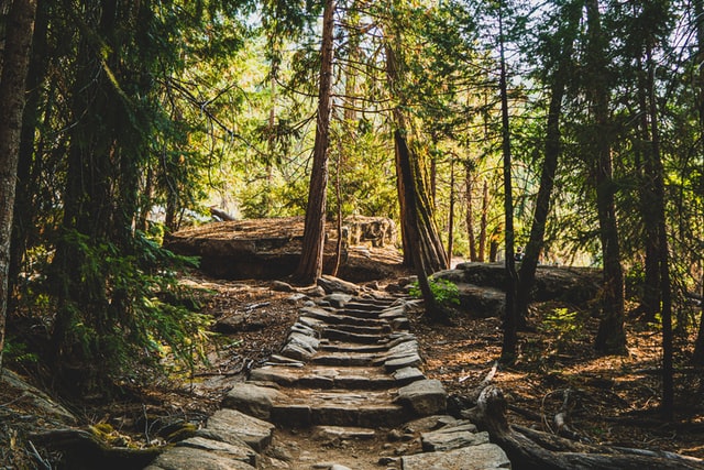 5 Best Hiking Trails in Raleigh