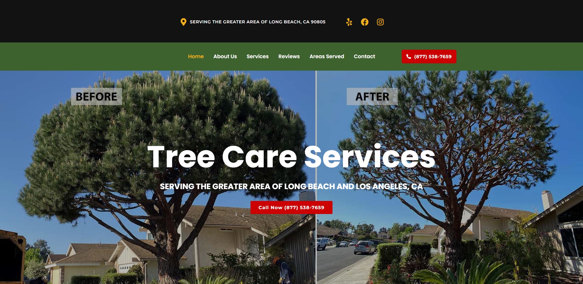 Long Beach, CA's Best Arborists
