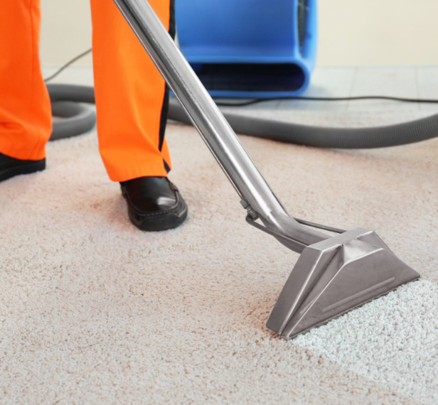 Top Carpet Cleaning Service in New Orleans