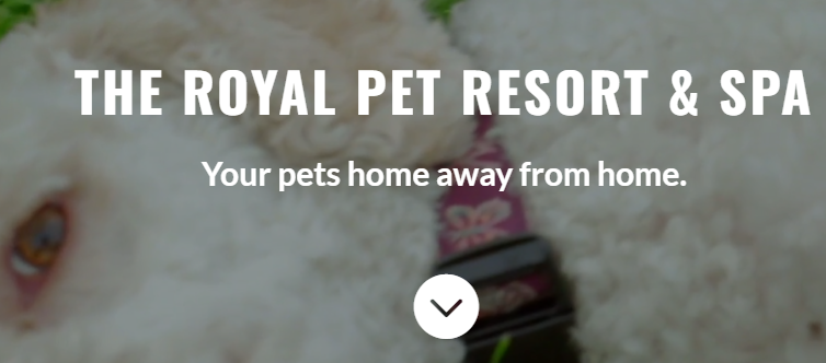 The Royal Pet Resort and Spa
