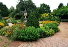 5 Best Landscaping Companies in Tampa, FL