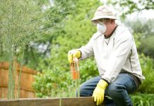 Best Pest Control Companies in Raleigh, NC
