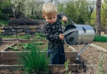 5 Best Gardeners in Wichita