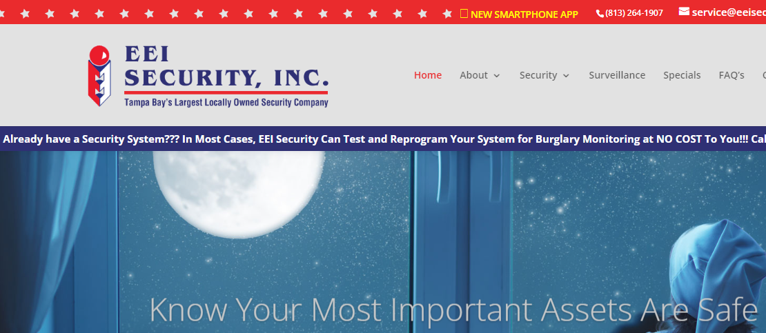 professional Security Systems in Tampa, FL