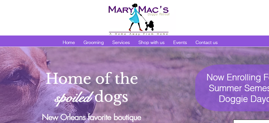 Professional Dog Day Care Centers in New Orleans