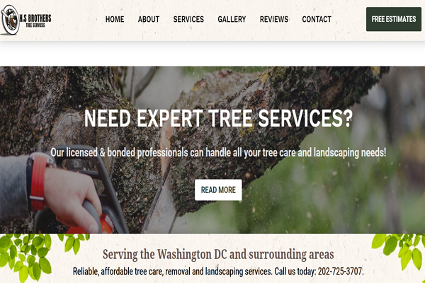 Good Arborists in Washington