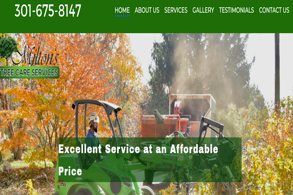 One of the best Arborists in Washington