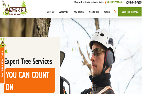One of the best Arborists in Boston