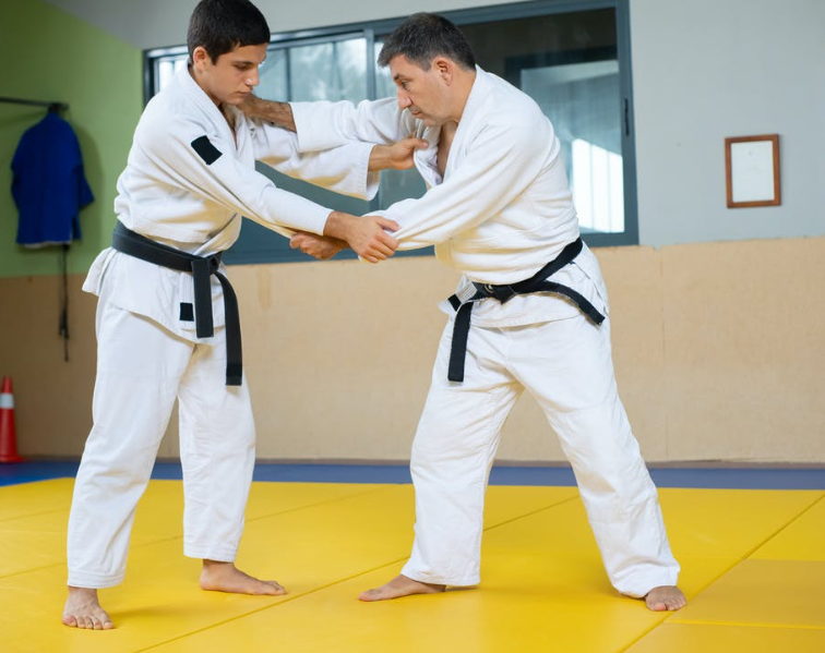 Good Martial Arts Classes in Tampa