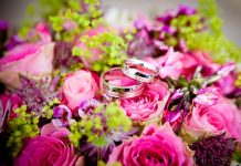 5 Best Wedding Supplies Store in Tampa, FL
