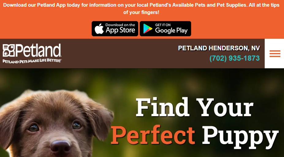 budget-friendly Pet Shops in Henderson, NV