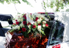 Best Funeral Homes in Oakland