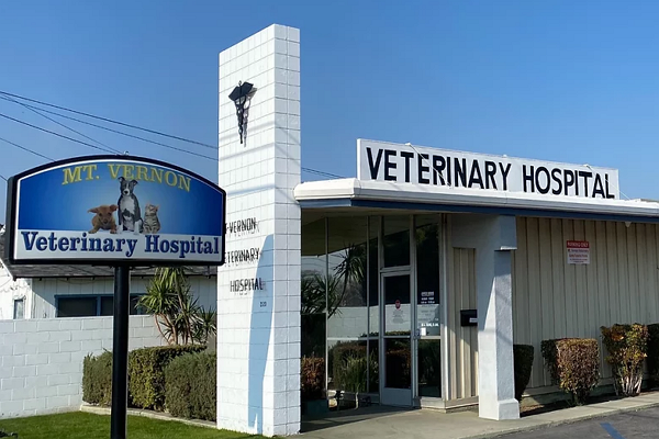 One of the best Pet Care Centre in Bakersfield