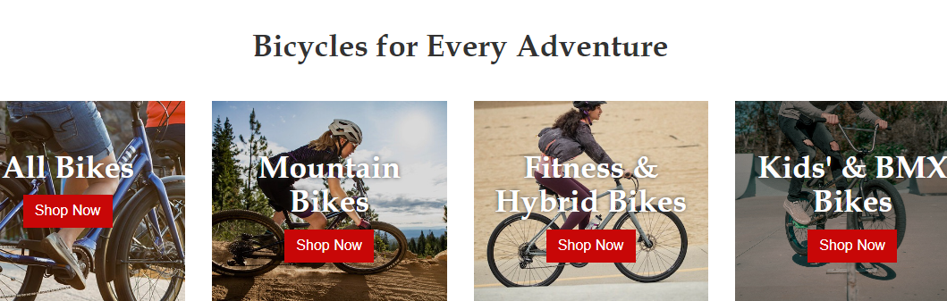 Ted's Bicycles Inc