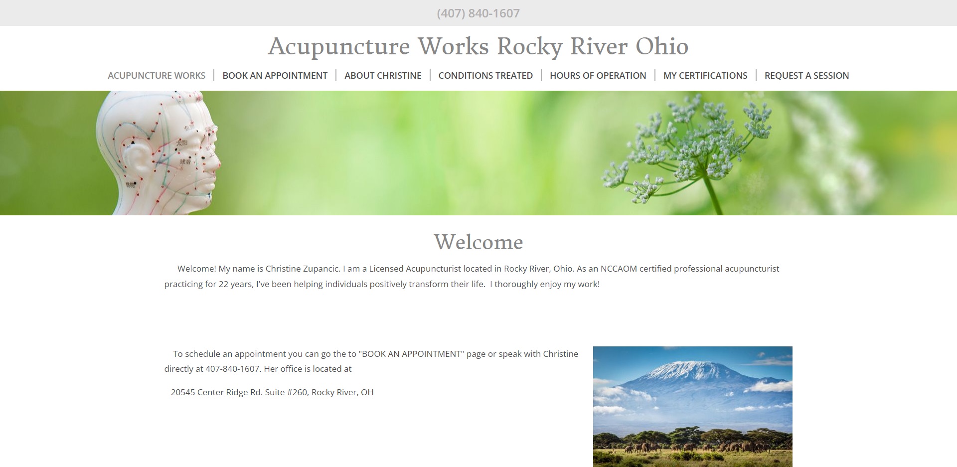 Best Acupuncture in Cleveland, OH