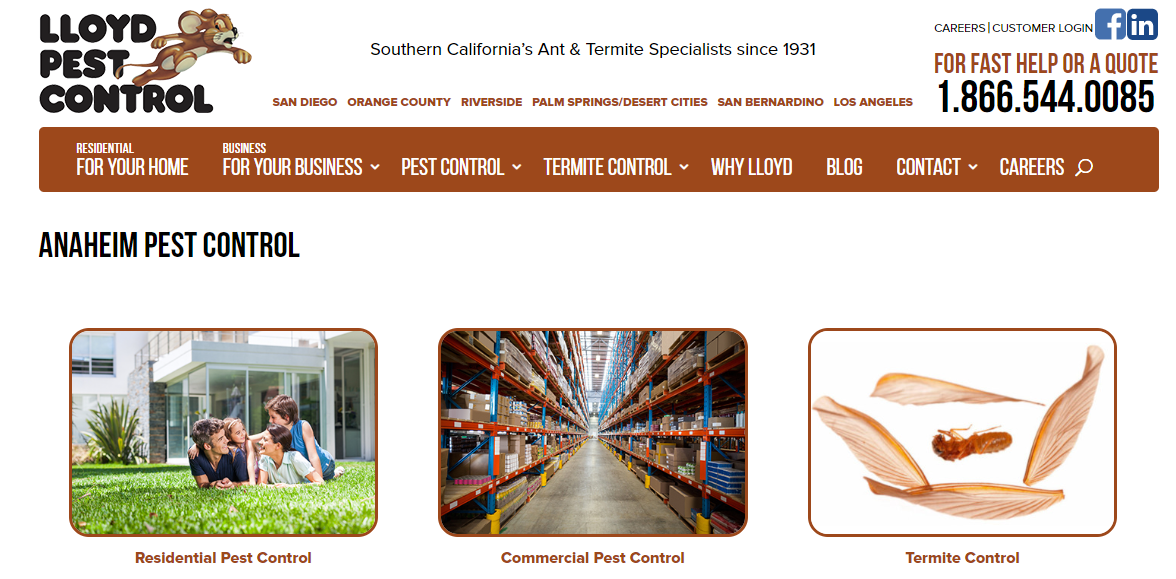 Affordable Pest Control Companies in Anaheim, CA
