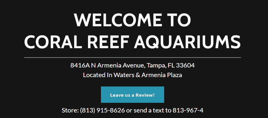Ambient Aquariums in Tampa