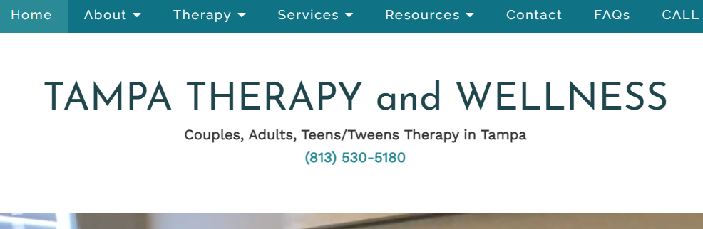 Tampa Therapy & Wellness