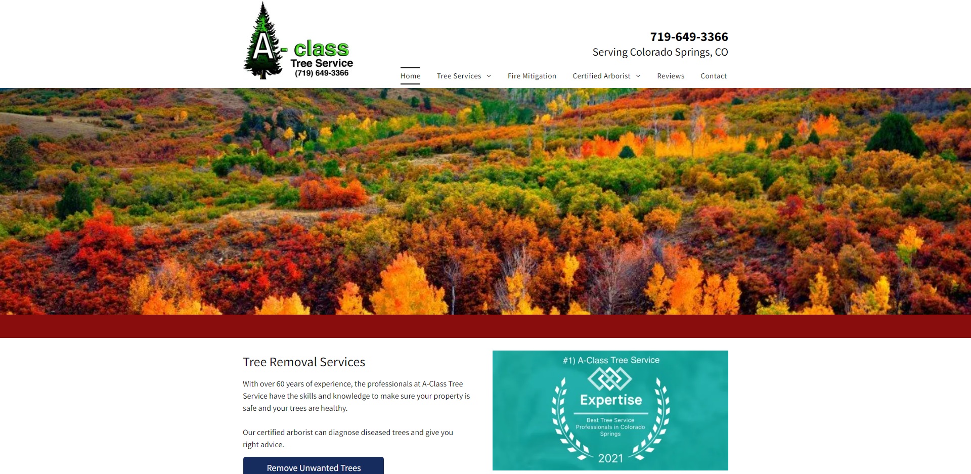 Best Arborists in Colorado Springs, CO