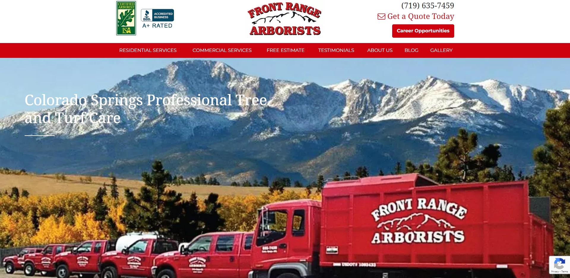 5 Best Arborists in Colorado Springs, CO