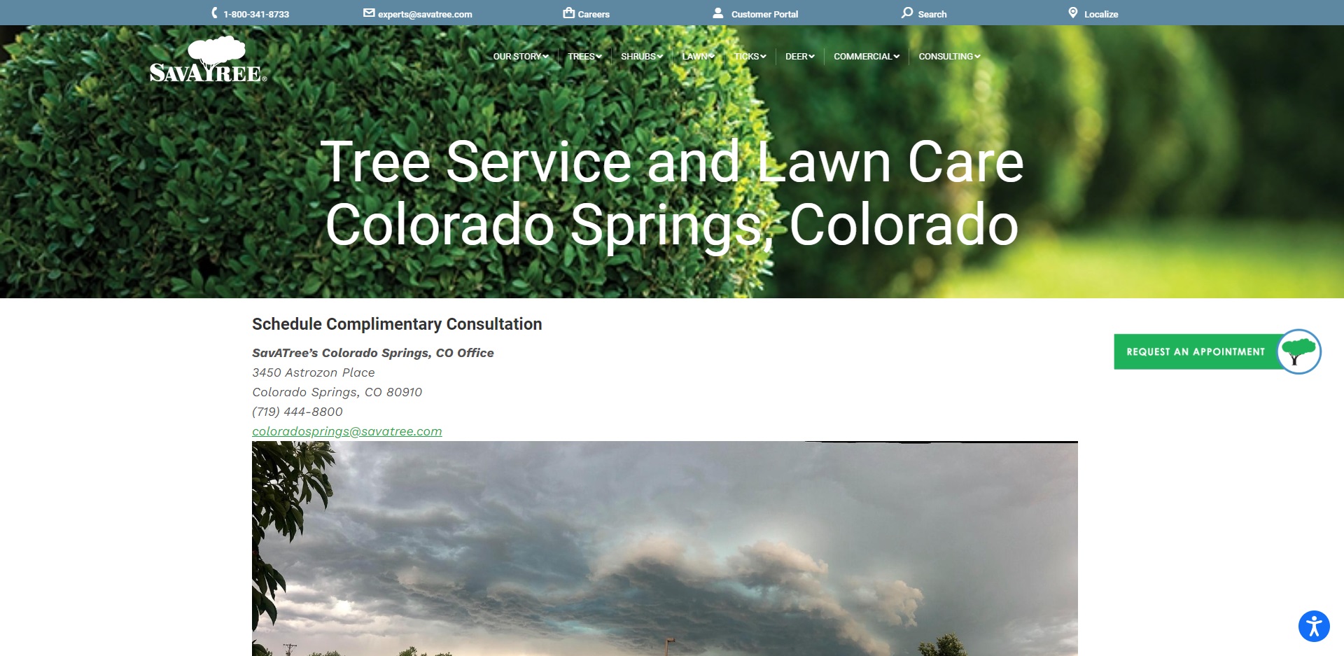 The Best Arborists in Colorado Springs, CO