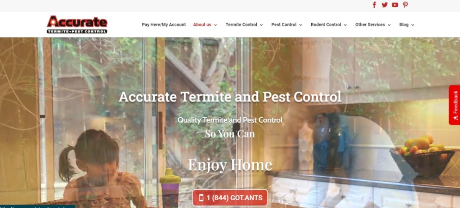 Pest Control Companies Irvine