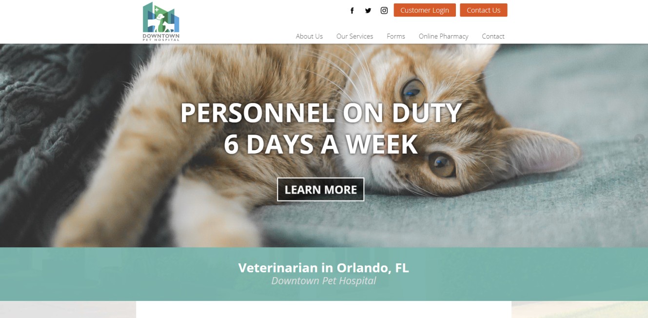 Top Veterinary Clinics in Orlando