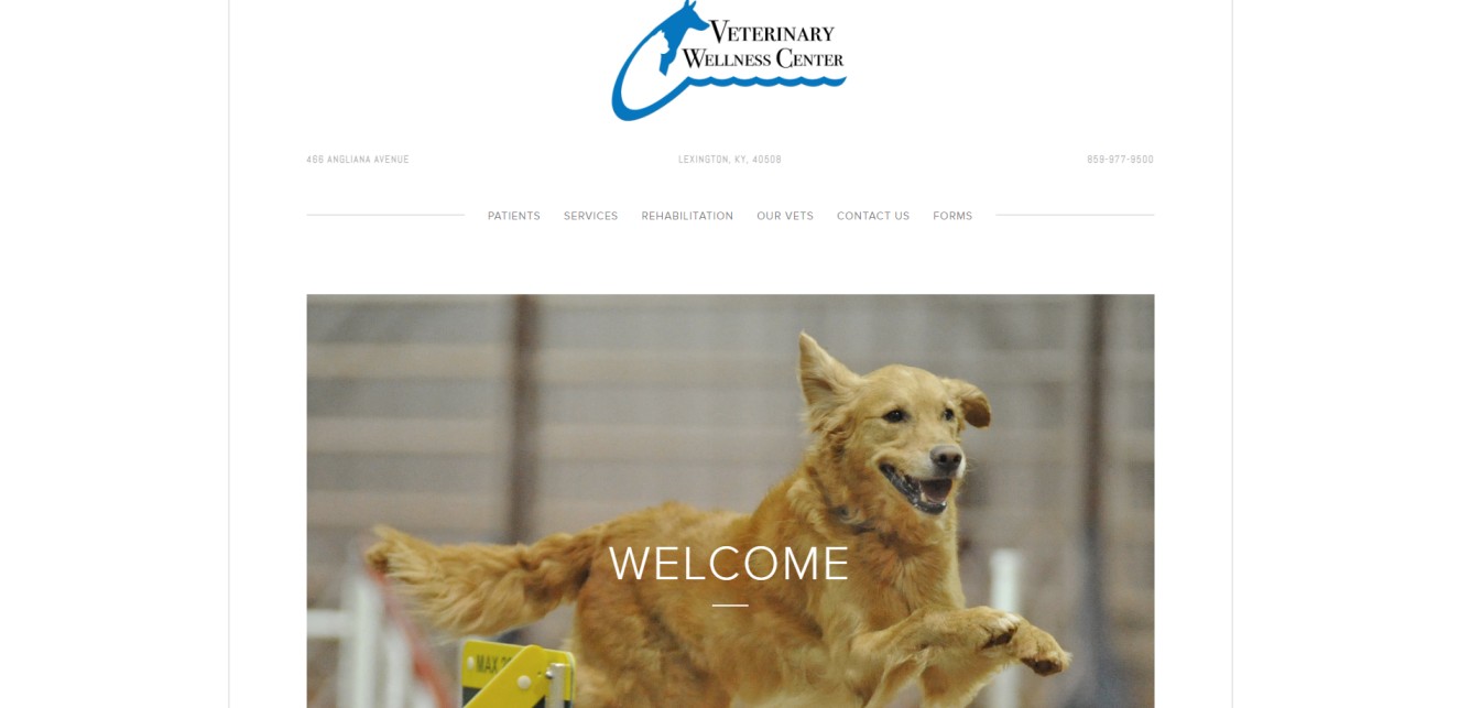 Good Veterinary Clinics in Lexington-Fayette