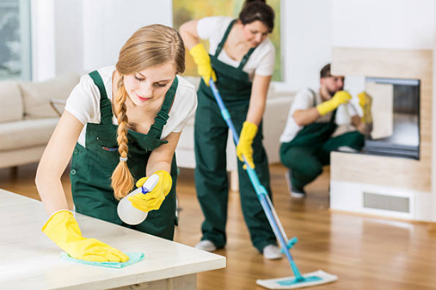 5 Best House Cleaning Services in Santa Ana, CA