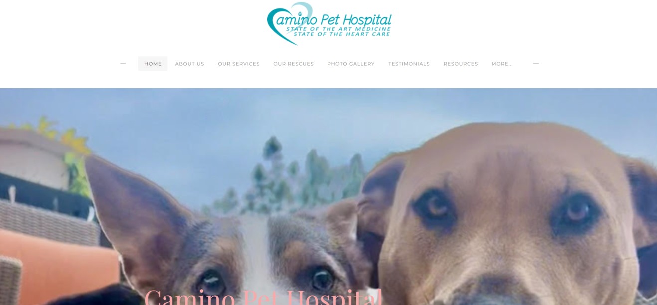 Top Veterinary Clinics in Irvine
