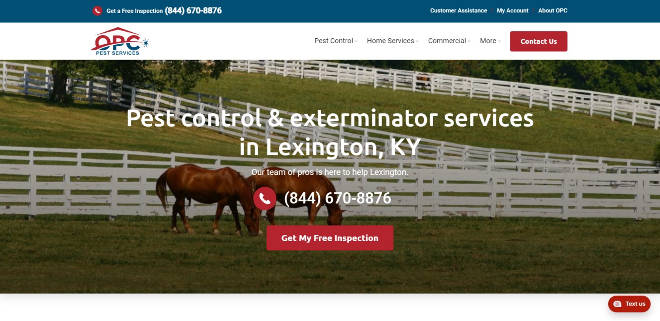Pest Control Companies in Lexington-Fayette