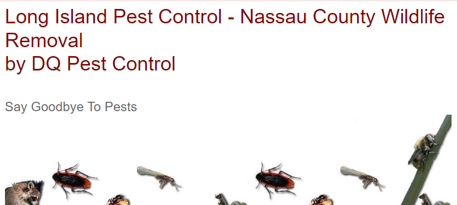 Amazing Pest Control in North Hempstead