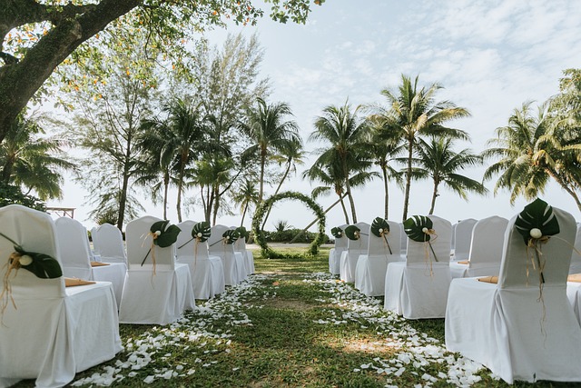 5 Best Wedding Planners in Goodyear, AZ