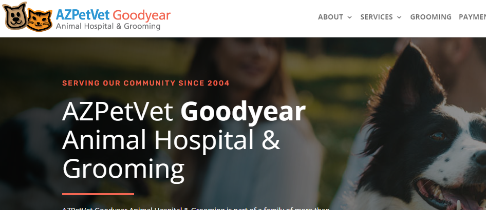 Amazing Veterinary Clinics in Goodyear