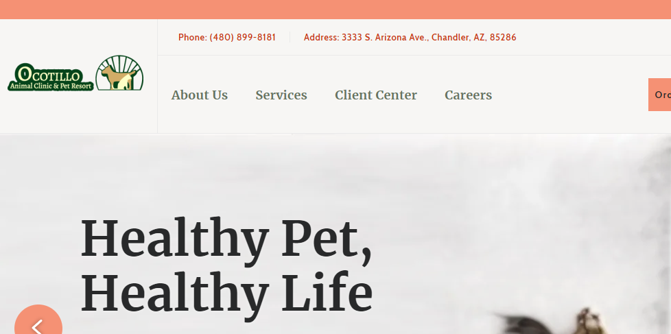 Great Veterinary Clinics in Chandler