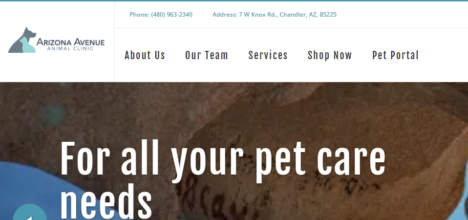 Good Veterinary Clinics in Chandler