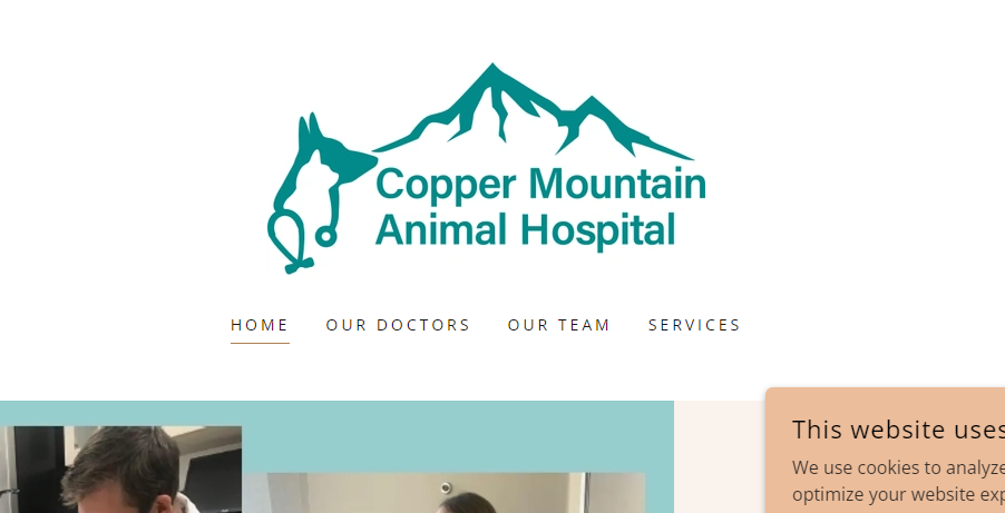 Amazing Veterinary Clinics in Chandler