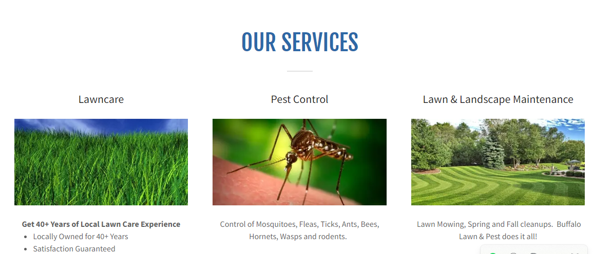 Buffalo Lawn & Pest Services