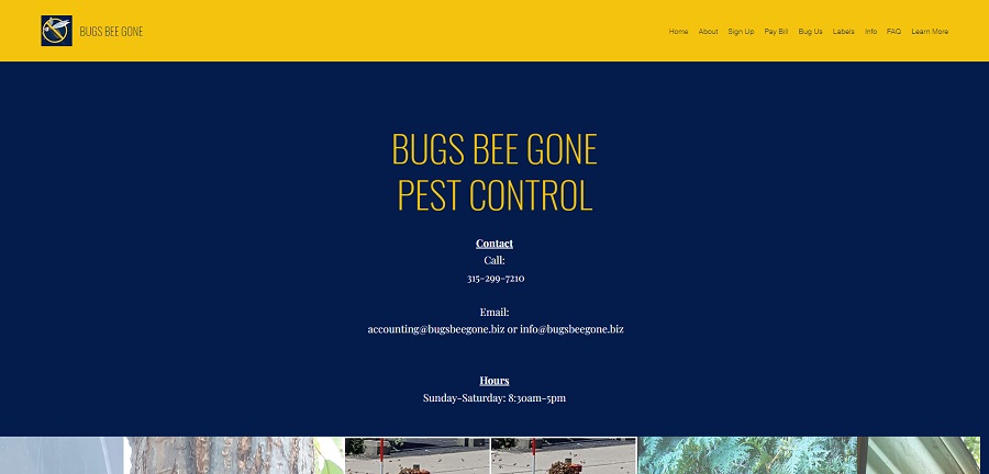The Best Pest Control in Brookhaven, NY