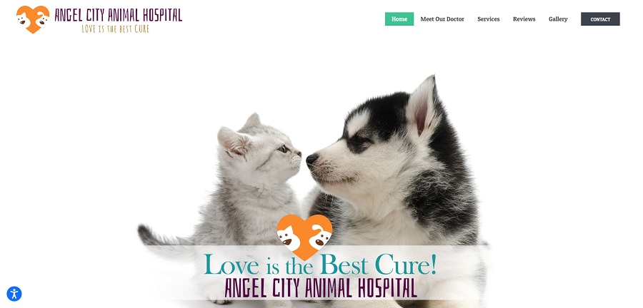 Recommended Veterinary Clinics in East Hollywood, CA