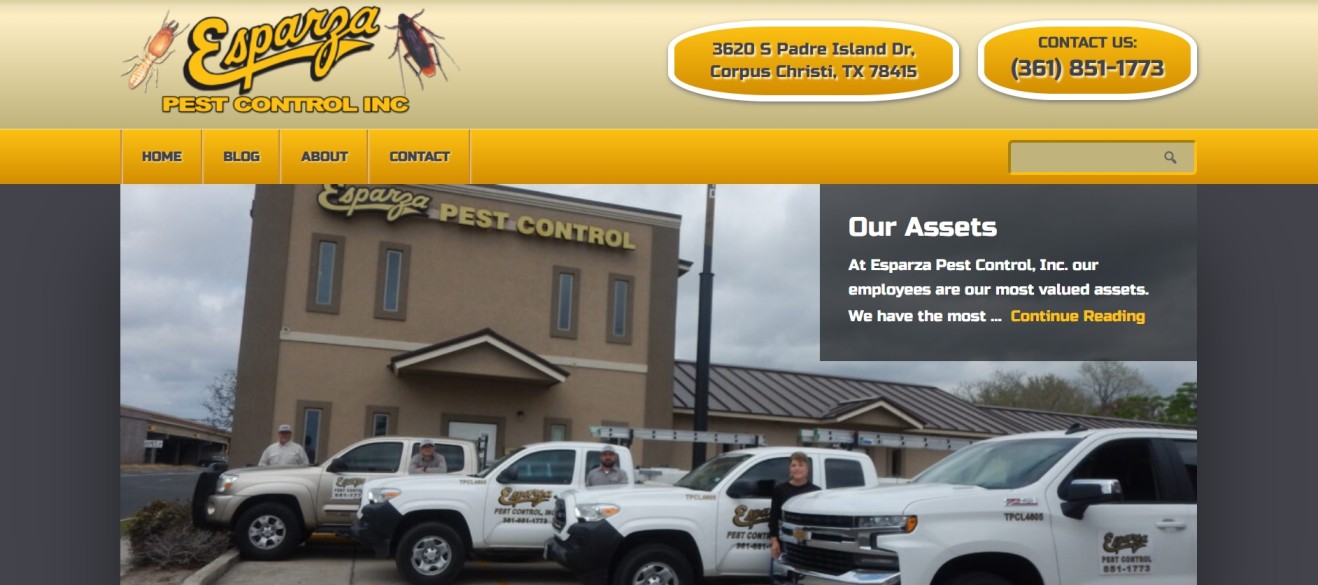 Pest Control Companies in Corpus Christi