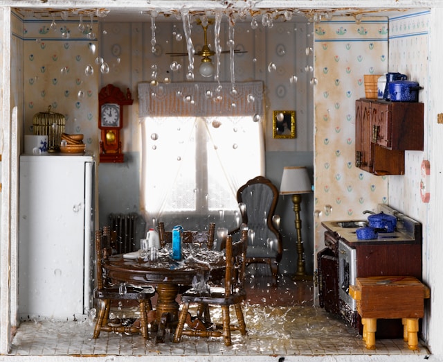 Essential services every restoration company should offer in 2025